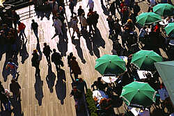 Umbrellas at sunset